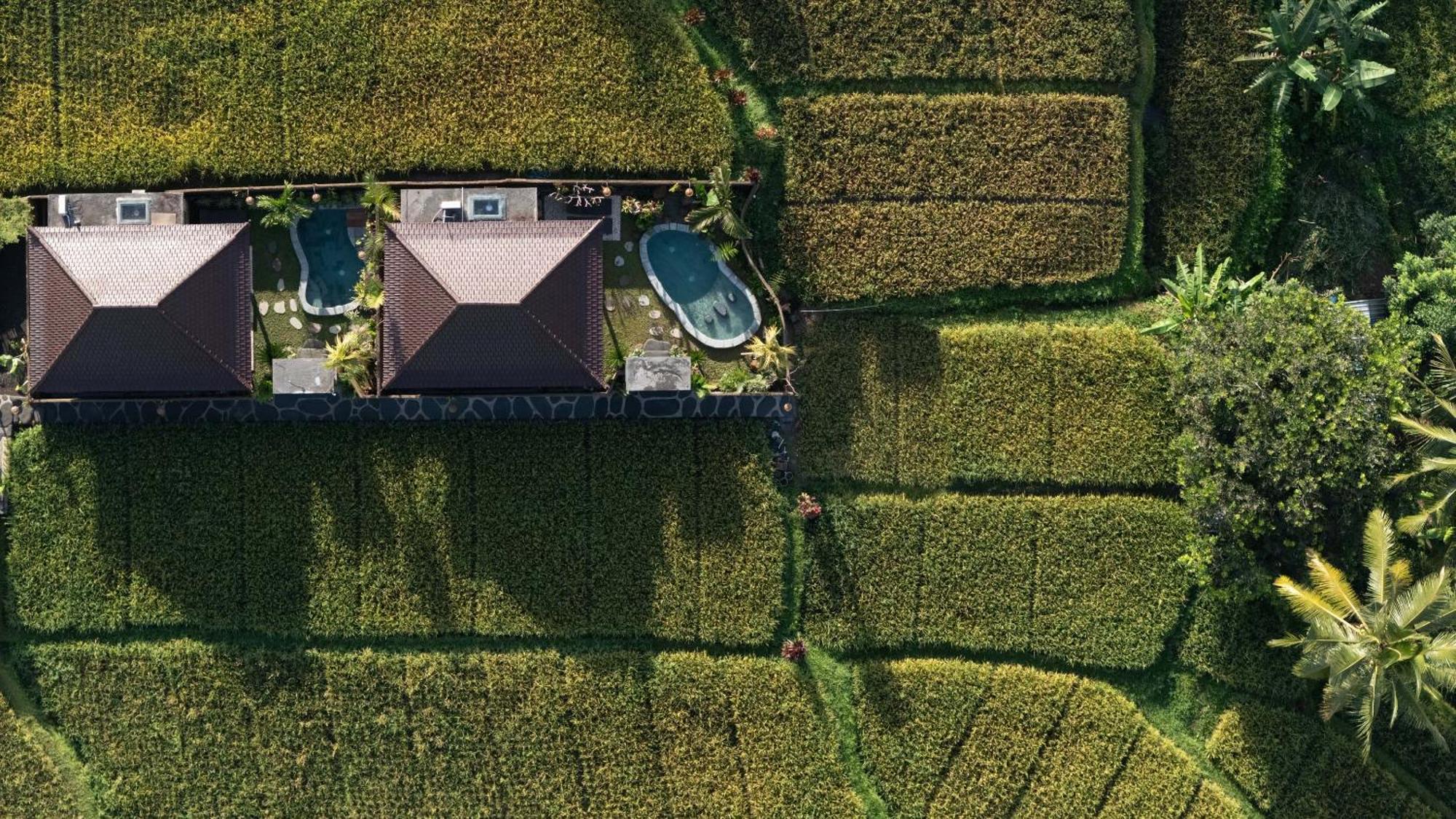 Sawah Sebatu Pousada *